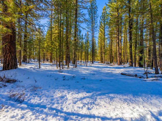 Land for sale in Shasta, California