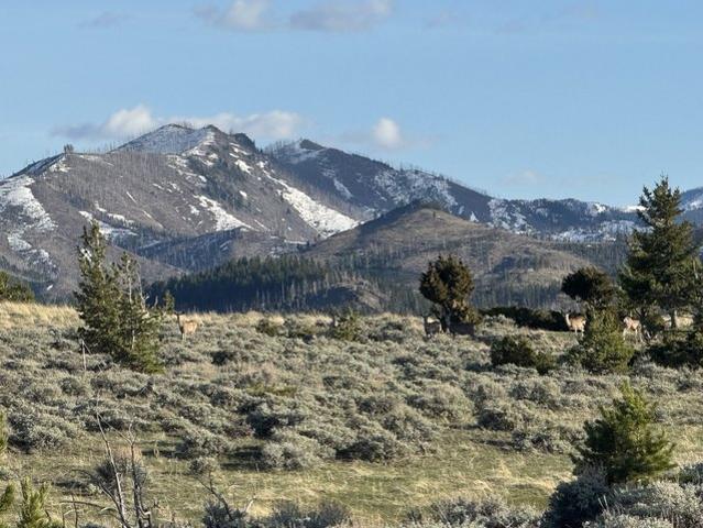Land for sale in Kansas