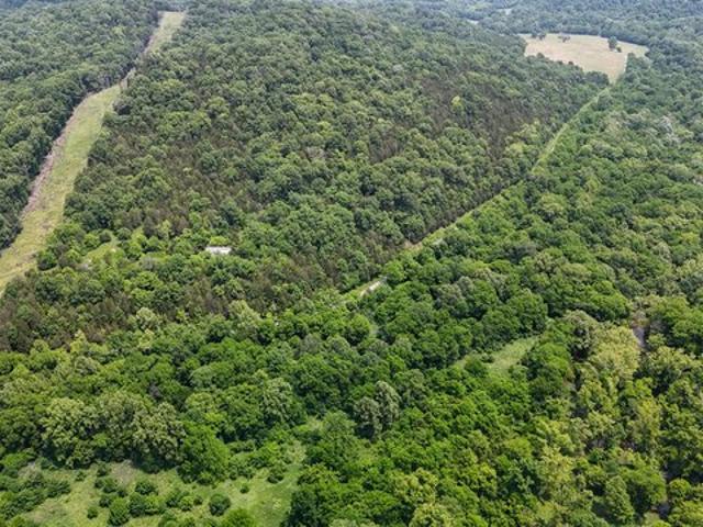 Land for sale in Worthville, Kentucky
