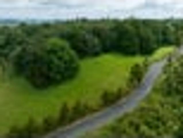 Land for sale in Karetu, Northland