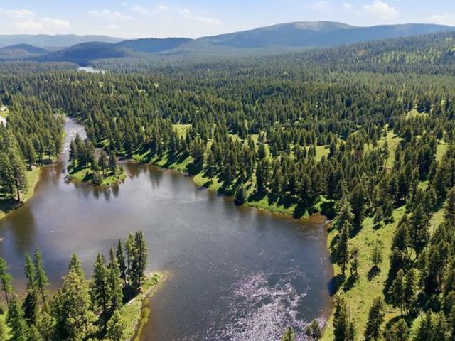 Land for sale in Seeley Lake, Montana