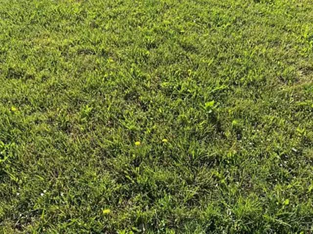 Terrain vente à Arcachon, Biganos