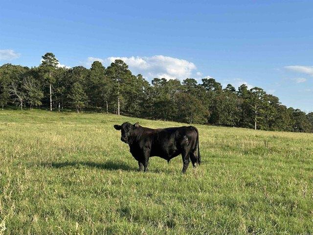 Farm for sale in Bigelow, Perry County