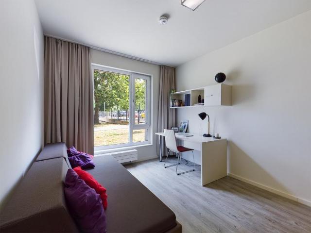 Apartment mieten