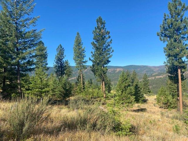 Land for sale in Sanders, Montana