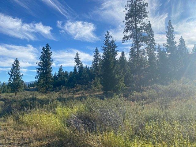 Land for sale in Sanders, Montana