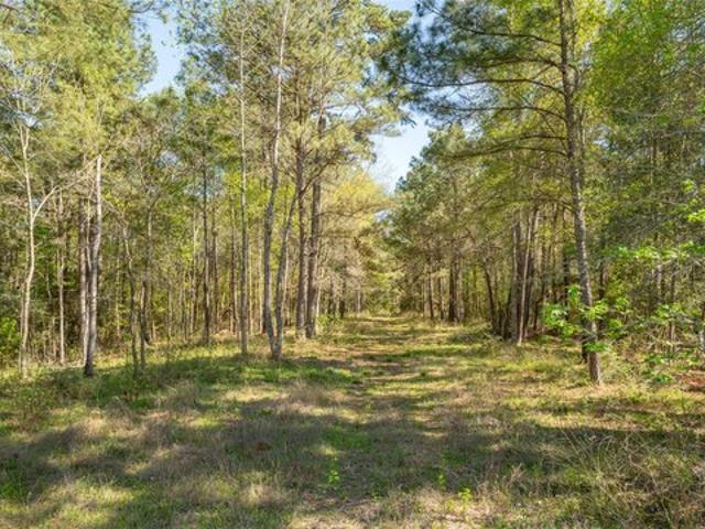 Land for sale in Huntsville, Walker County
