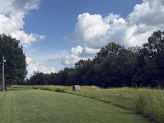 Land for sale in Torbert, Pointe Coupee Parish