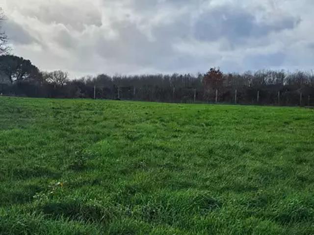 Terrain vente à Saint-Jean-d'Angély, Bignay