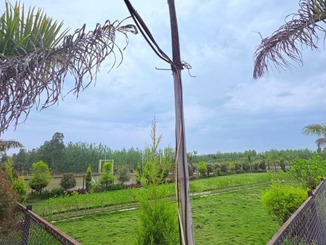 Land for sale in Kedarpur, Uttarakhand