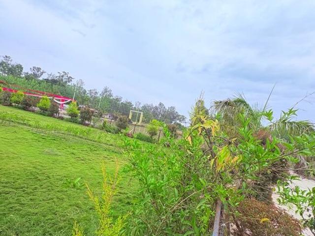 Land for sale in Kedarpur, Uttarakhand