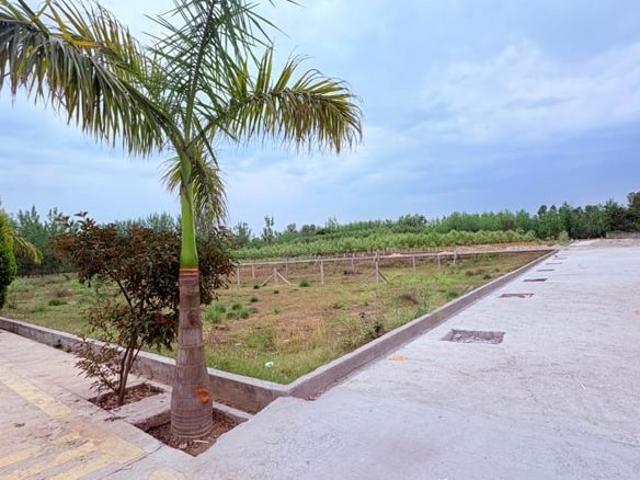 Land for sale in Kedarpur, Uttarakhand
