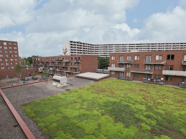 Appartement te huur in G-buurt, Amsterdam