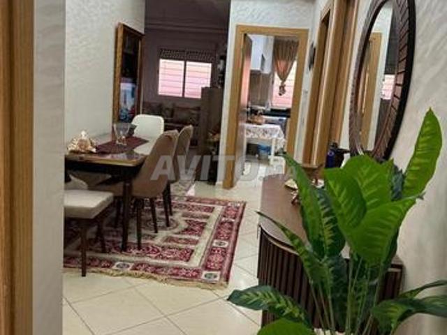 Appartement location
