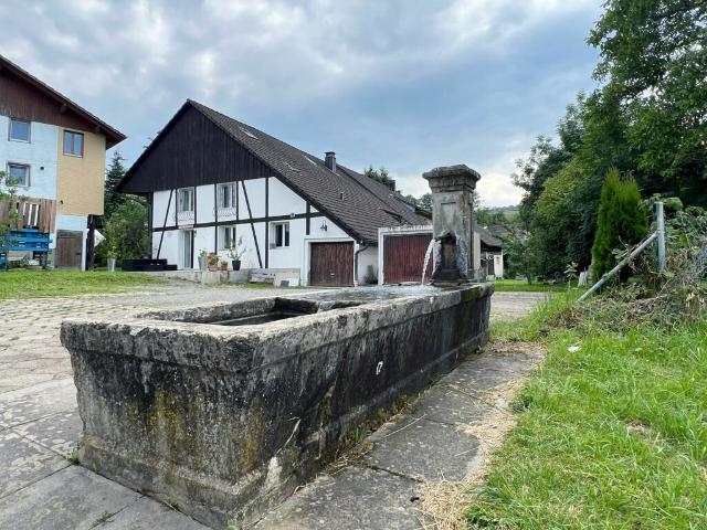 Haus kaufen in Leutwil, Aargau