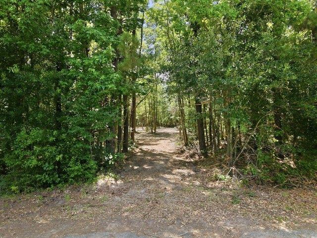 Land for sale in Deridder, Louisiana