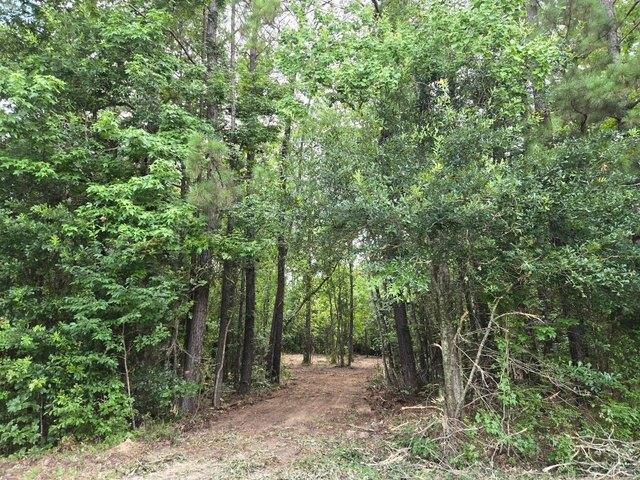 Land for sale in Deridder, Louisiana