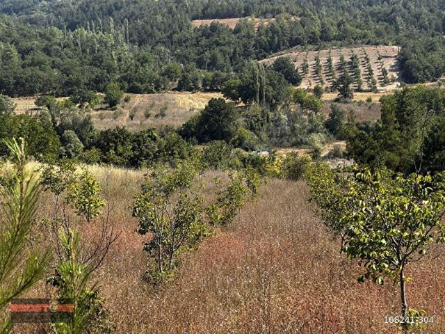 Gölpazari, Bilecik içerisinde satılık Arsa