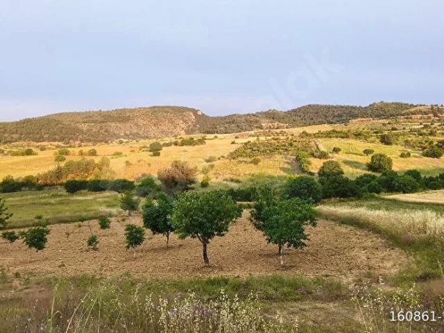 Söğüt, Bilecik içerisinde satılık Arsa