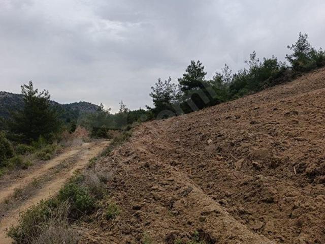 Söğüt, Bilecik içerisinde satılık Arsa