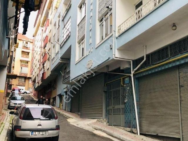 Canik, Samsun içerisinde kiralık mülk