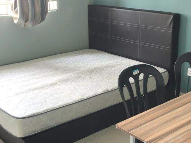 Room for rent in Koi Tropika Condominium, Majlis Bandaraya Subang Jaya