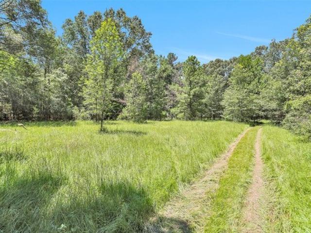 Land for sale in Kennard, Texas