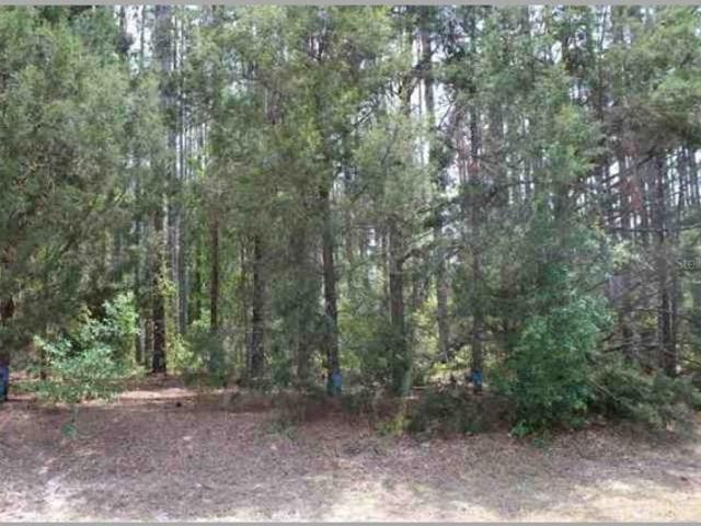 Land for sale in Eustis Land for sale in Eustis