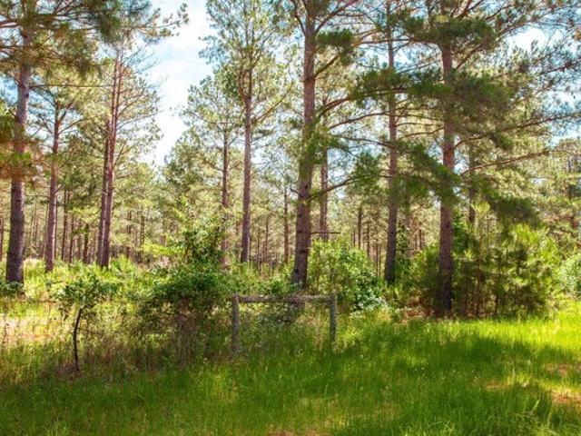 Land for sale in Appling Land for sale in Appling