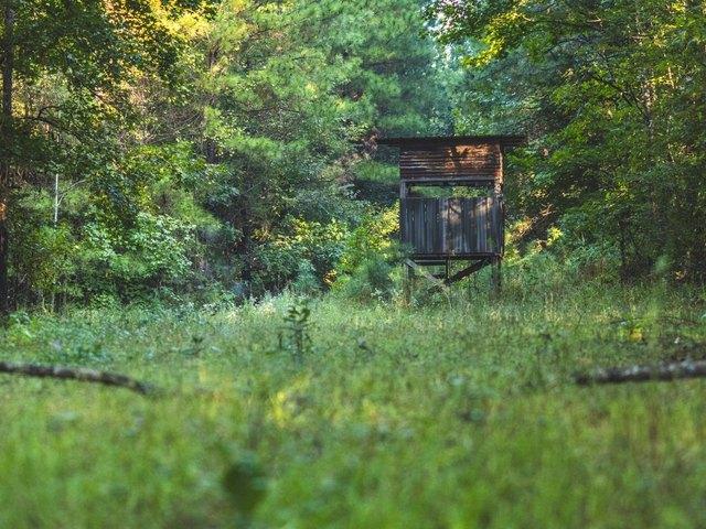 Land for sale in Braxton, Mississippi