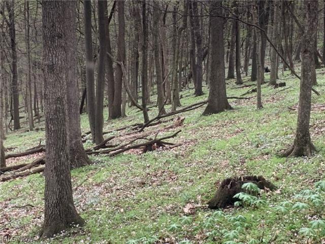 Land for sale in Wellsville, Ohio