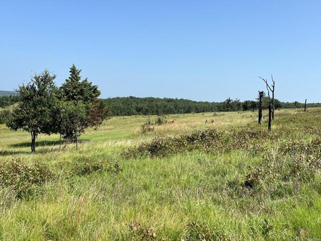 Land for sale in Coalgate, Oklahoma