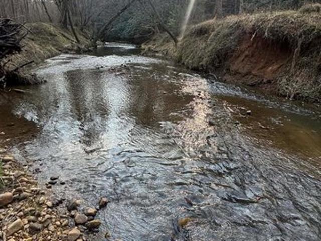 Land for sale in Traphill, North Carolina