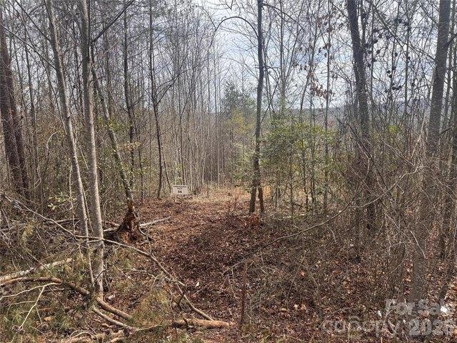 Land for sale in Traphill, North Carolina