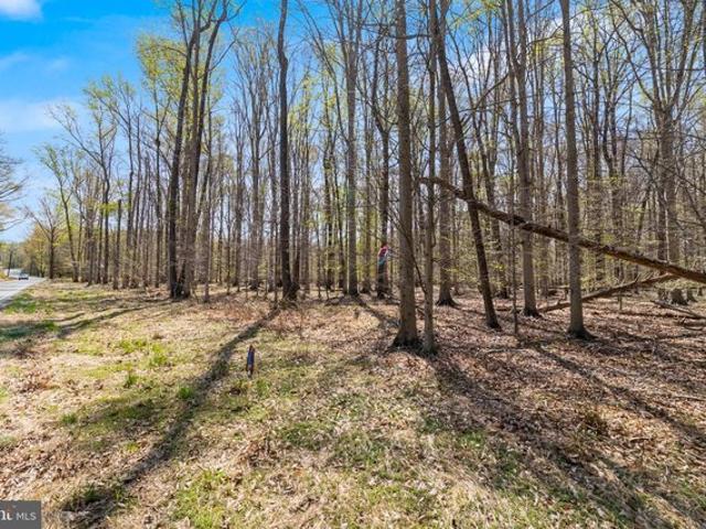 Land for sale in White Plains, Maryland
