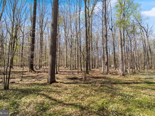 Land for sale in White Plains, Maryland