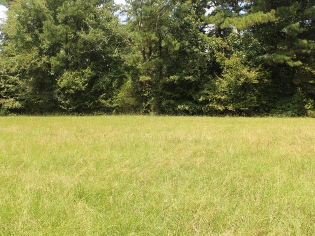 Land for sale in Delight, Pike County