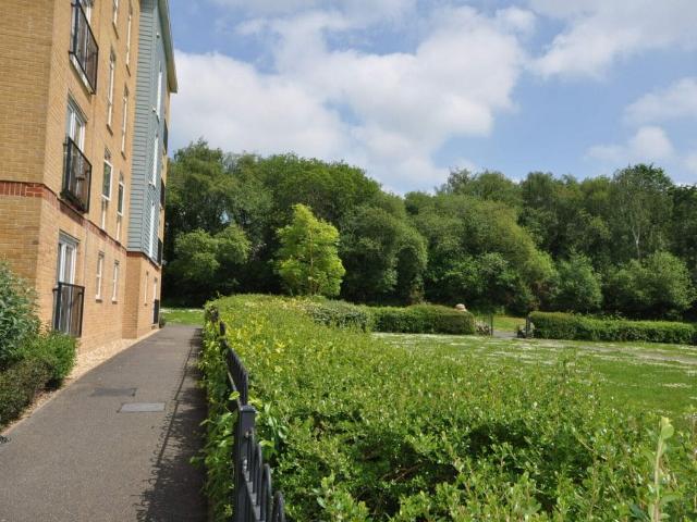 Apartment for rent in Spring Vale, Hampshire