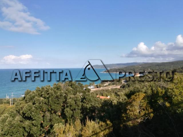 Appartamento in affitto a Rosignano Marittimo, Toscana