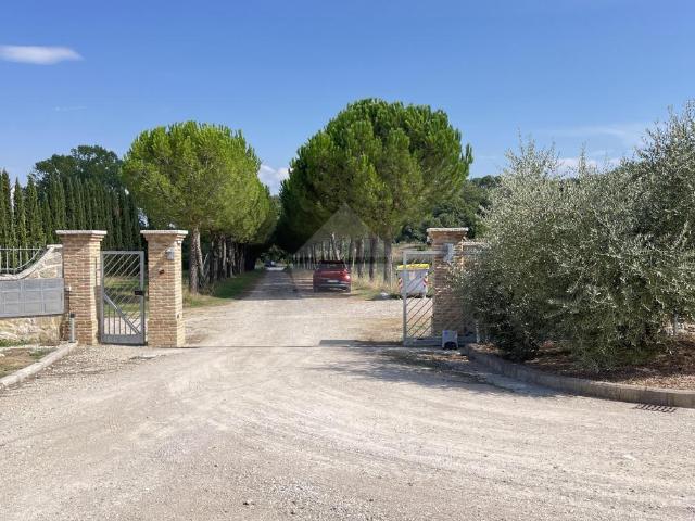 Appartamento in affitto a Capanne, Cenerente