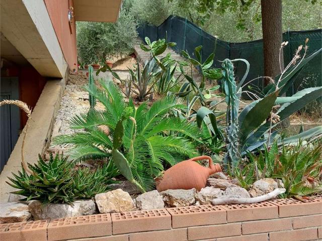 Appartamento in affitto a Cenerente, Umbria