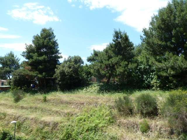 Appartamento in affitto a Cenerente, Umbria