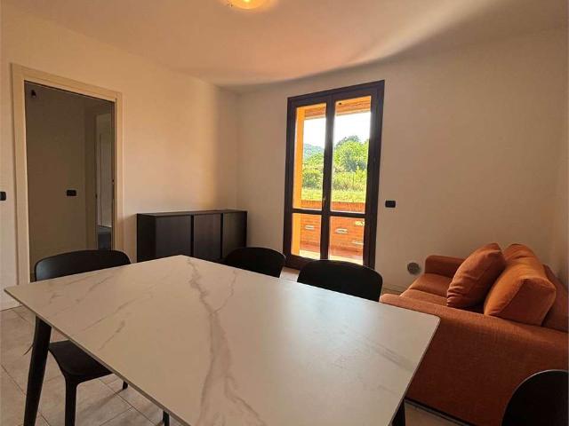 Appartamento in affitto a Medesano, Ramiola