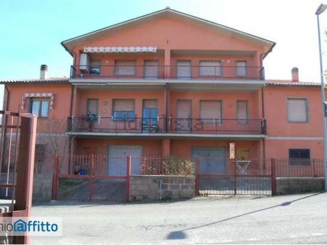 Appartamento in affitto a Unione dei Comuni Montani Amiata Grossetana, Castel Del Piano