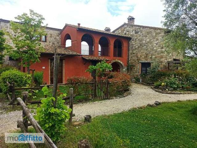 Appartamento in affitto a San Venanzo, Umbria