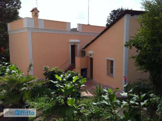 Villa Indipendente in affitto a Municipio Roma XIV, Roma Capitale