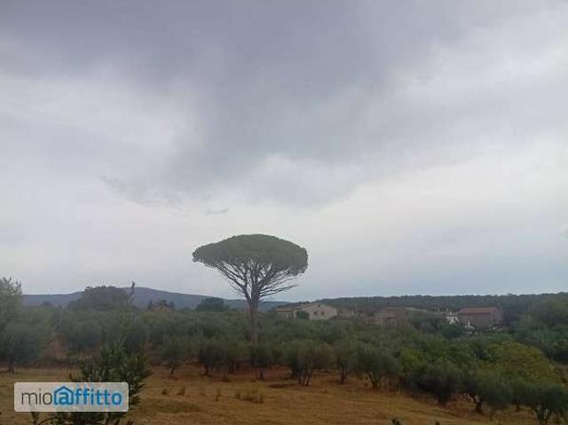 Appartamento in affitto a Vetralla, Lazio