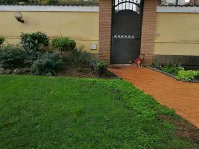 Appartamento in affitto a Municipio Roma X, Roma Capitale