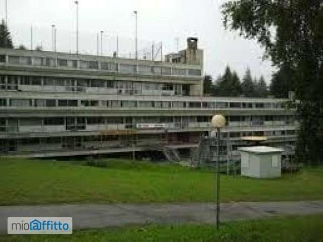 Appartamento in affitto a Comunità della Valle di Sole, Commezzadura