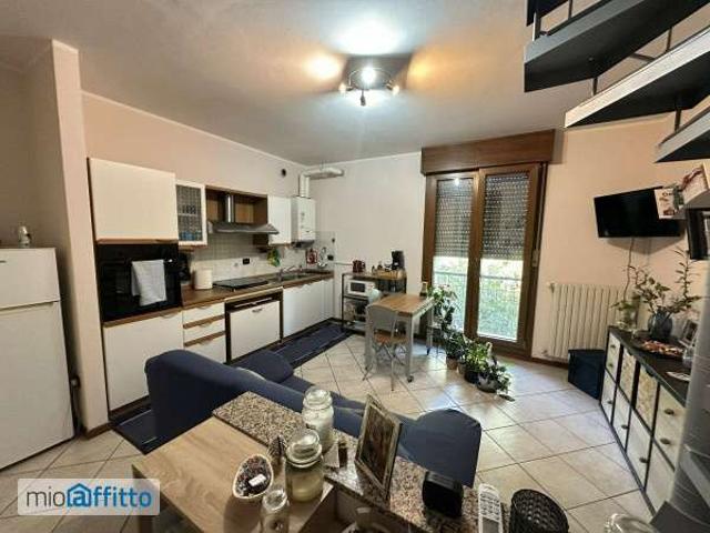 Appartamento in affitto a Unione Comuni Modenesi Area Nord, Mirandola